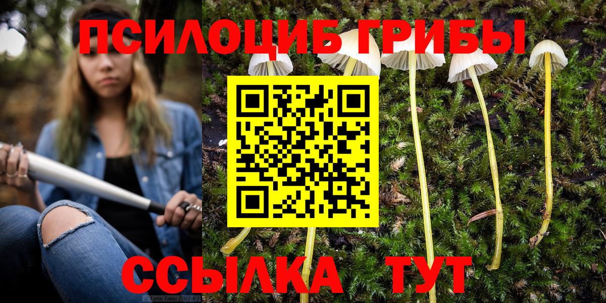 Галлюциногенные грибы мухоморы  Вход с VPN  Усть-Илимск 