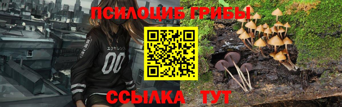 Галлюциногенные грибы GOLDEN TEACHER Усть-Илимск